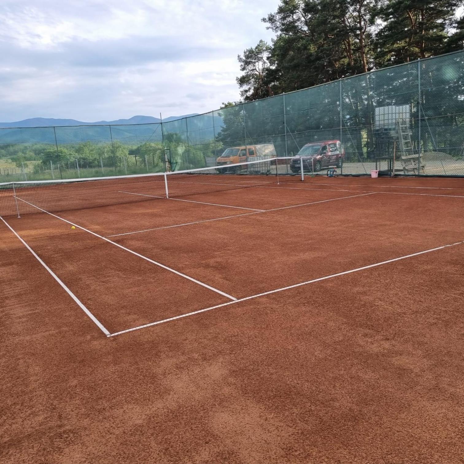 Pensiune Confort Morosanu Sinca Veche Exterior foto