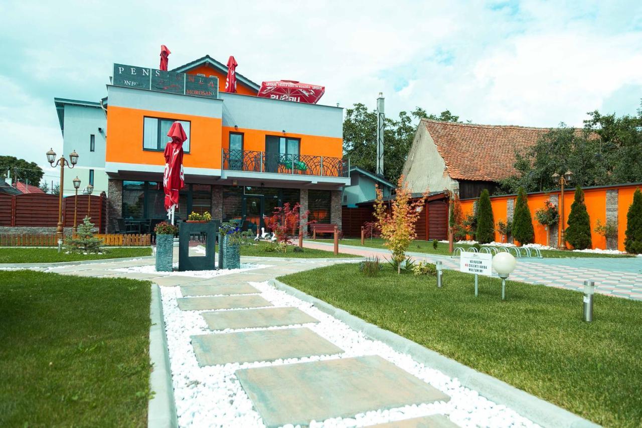 Pensiune Confort Morosanu Sinca Veche Exterior foto